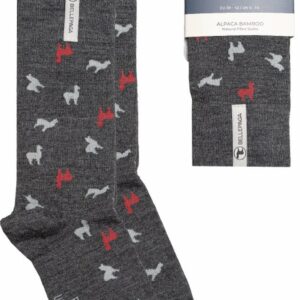 Chaussettes Pichu - Gris